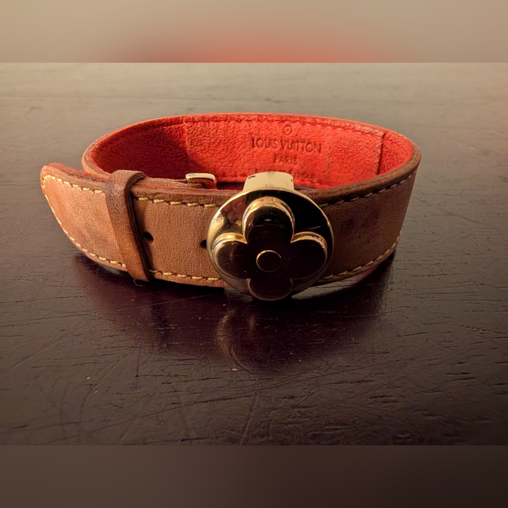 Gorgeous Louis Vuitton Paris Leather LV Good Luck Series